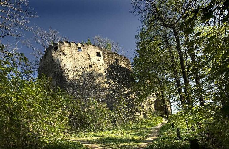Die Burg Greiffenstein im Wald aus der Nähe betrachtet