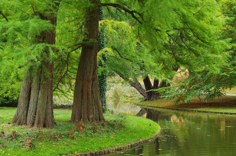 Ein Fluss fließt im Baumgarten Ladek an einer kleinen Baumgruppe vorbei.