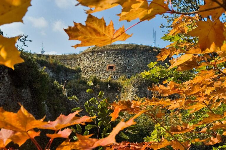 Die Festung Silberberg aus weiter Entfernung betrachtet. Im Vordergrund herbstlich gefärbtes Laub.