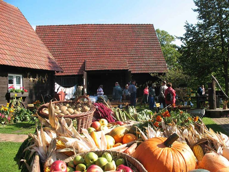 Museumsgehöft am Erlichthof. Im Vordergrund sind Erntefrüchte, wie Kürbisse, zu sehen.