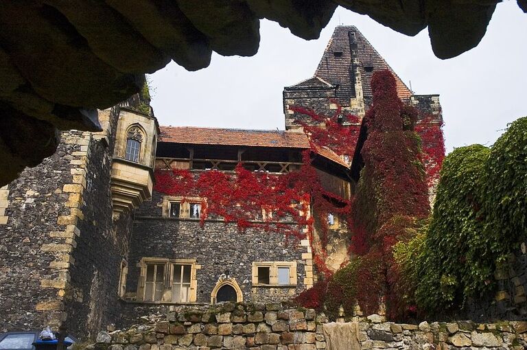 Ansicht der Burg Grodziec, an dessen Gemäuer wilder Wein entlangwächst.