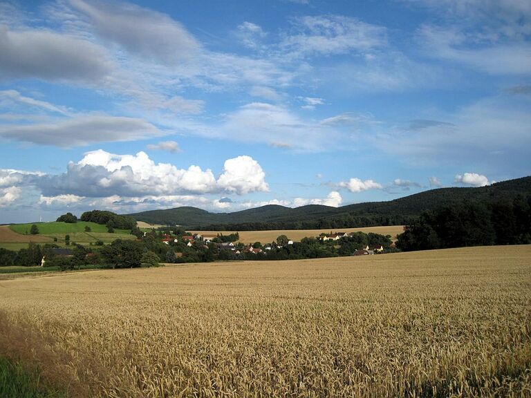 Ein weites Weizenfeld im Vordergrund und Wälder im Hintergrund: Die Landschaft am Krabat-Radweg.