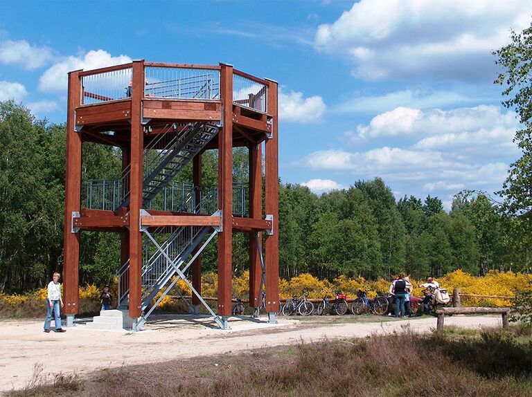 Aussichtsturm inmitten der Königsbrücker Heide bei sonnigem Wetter.