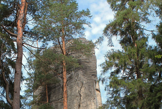 große Steinsäule umgeben von Bäumen 